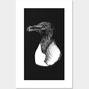 Razorbill (Alca torda) - black Posters and Art